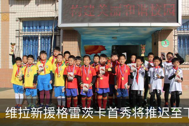 维拉新援格雷茨卡首秀将推迟至下月，球队面临困境